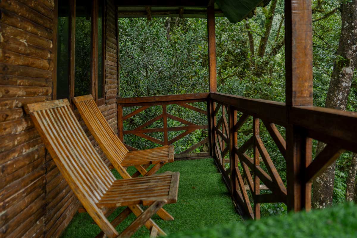 Tree House Stay Munnar
