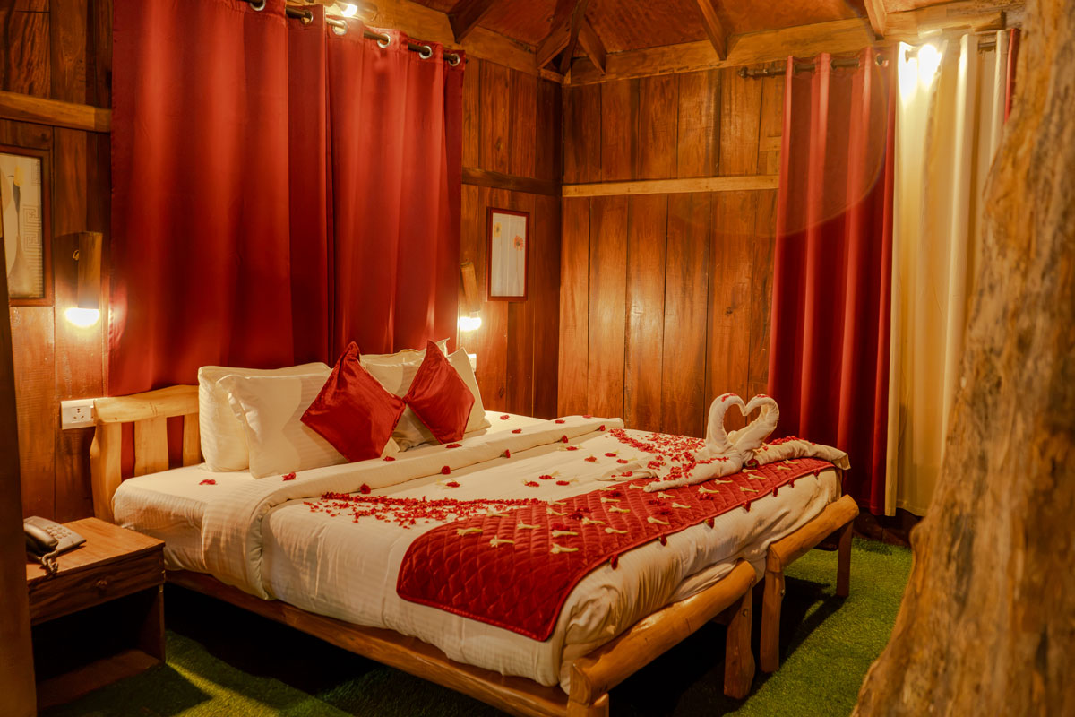 Tree House Stay Munnar